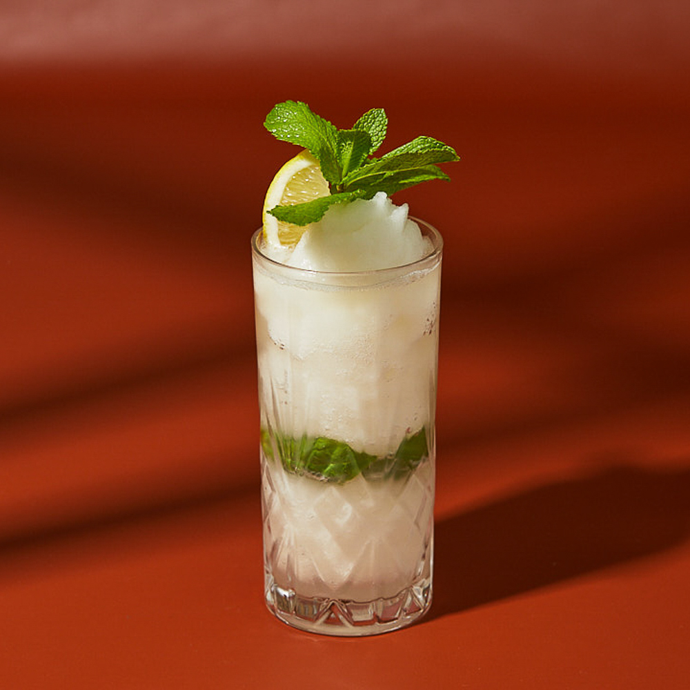Lemon Lime Mojito